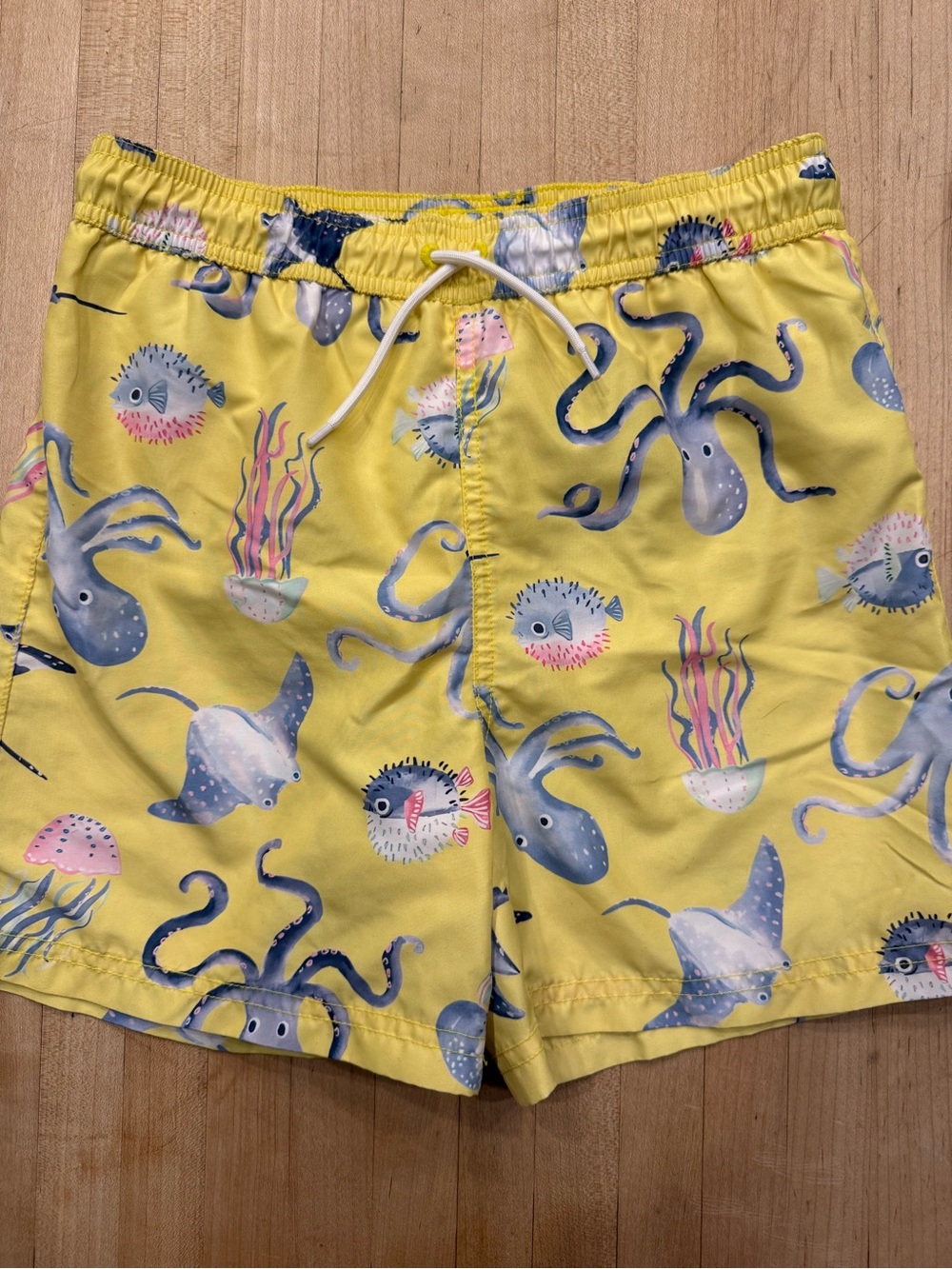 Janie & Jack Sea Creatures Swim Trunks NWOT